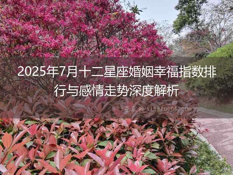 2025年7月十二星座婚姻幸福指數排行與感情走勢深度解析