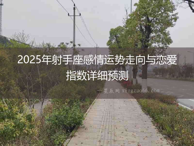2025年射手座感情運勢走向與戀愛指數詳細預測