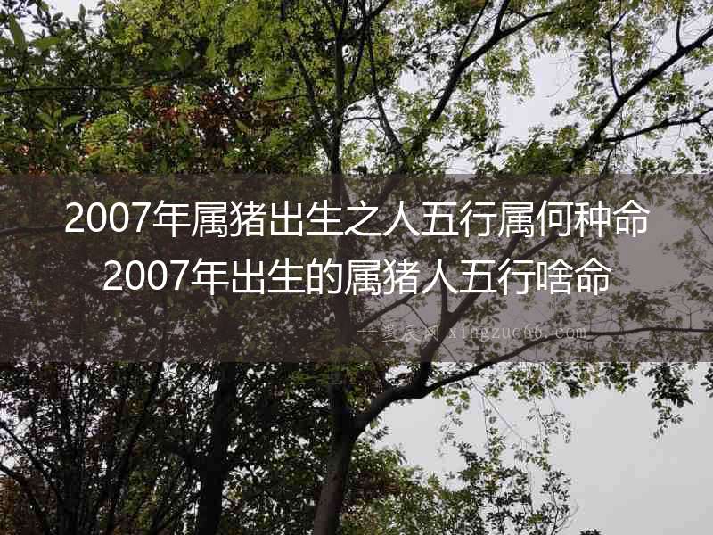 2007年屬豬出生之人五行屬何種命2007年出生的屬豬人五行啥命