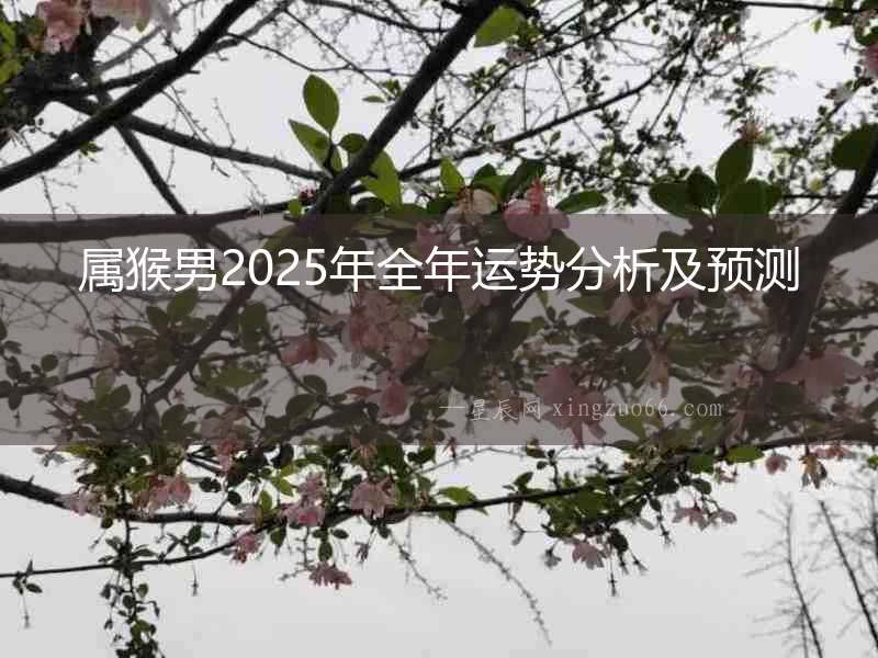 屬猴男2025年全年運勢分析及預測