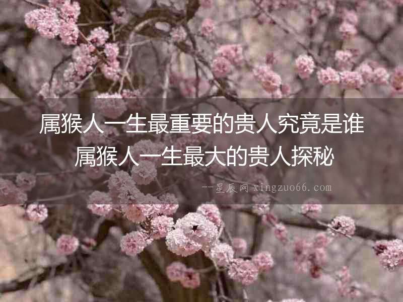 屬猴人一生最重要的貴人究竟是誰 屬猴人一生最大的貴人探秘