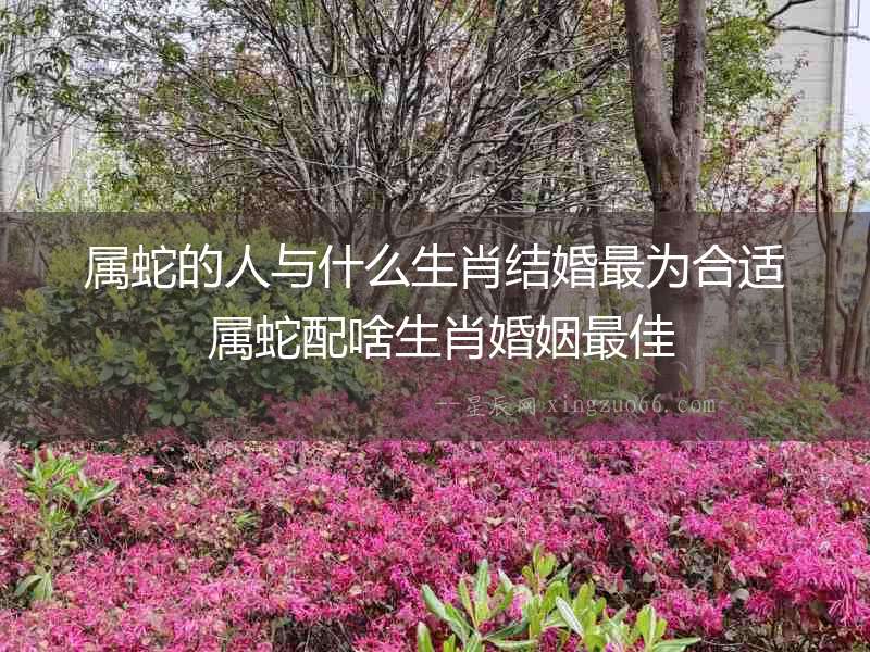 屬蛇的人與什么生肖結婚最為合適 屬蛇配啥生肖婚姻最佳