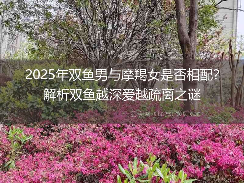 2025年雙魚男與摩羯女是否相配？解析雙魚越深愛越疏離之謎