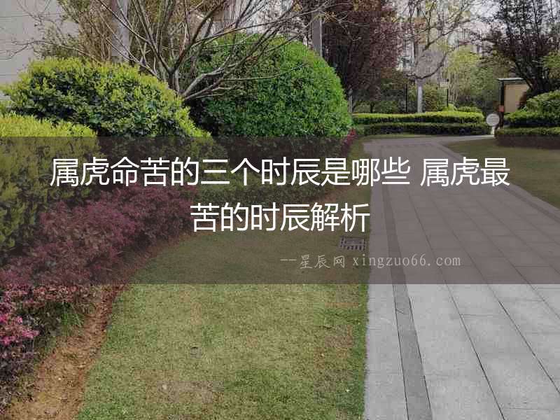 屬虎命苦的三個時辰是哪些 屬虎最苦的時辰解析