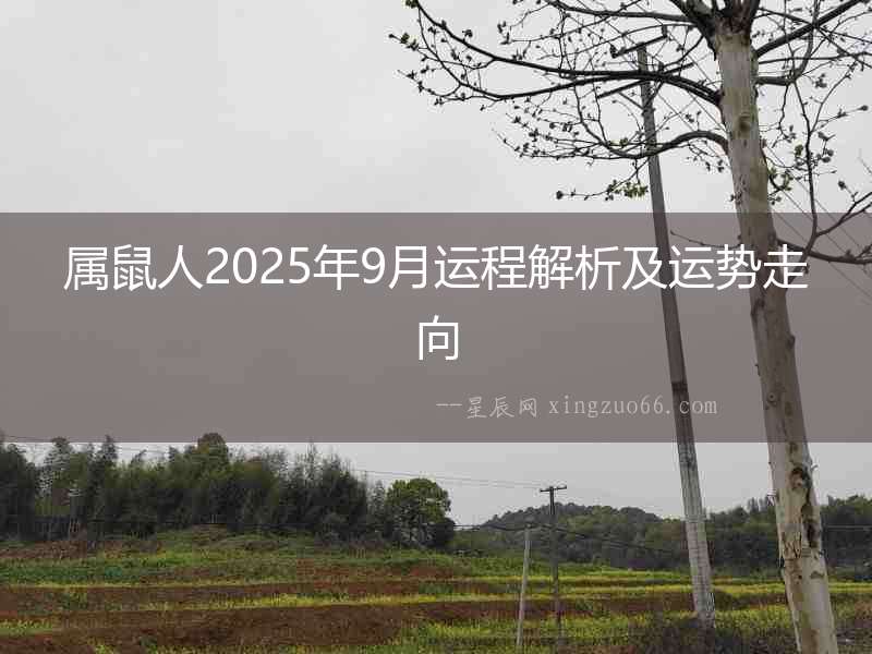 屬鼠人2025年9月運程解析及運勢走向