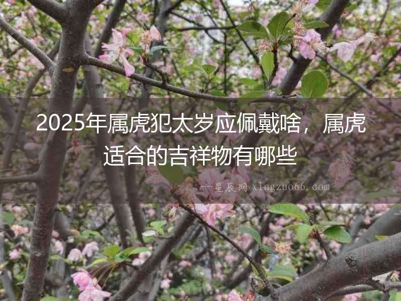 2025年屬虎犯太歲應佩戴啥，屬虎適合的吉祥物有哪些