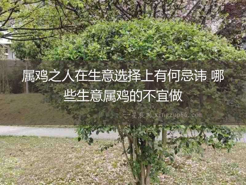 屬雞之人在生意選擇上有何忌諱 哪些生意屬雞的不宜做