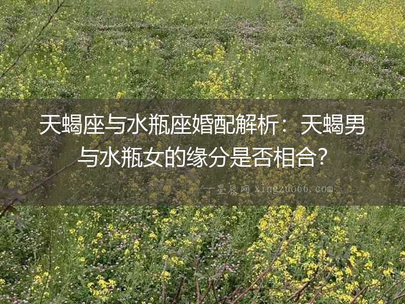 天蝎座與水瓶座婚配解析：天蝎男與水瓶女的緣分是否相合？