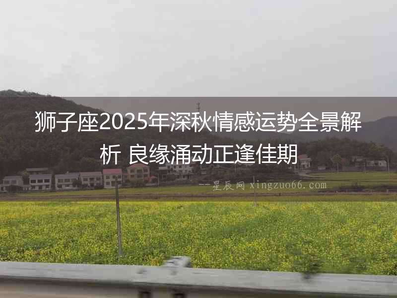 獅子座2025年深秋情感運勢全景解析 良緣涌動正逢佳期