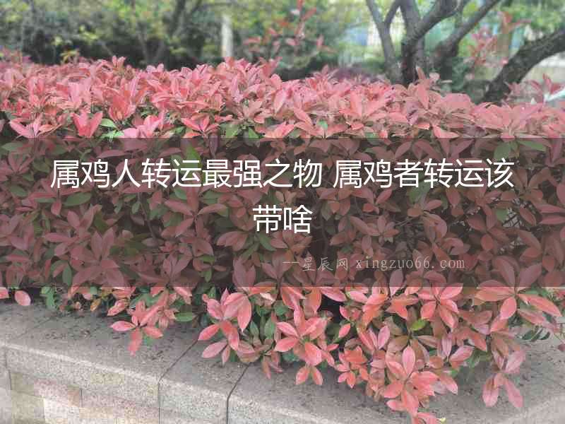 屬雞人轉運最強之物 屬雞者轉運該帶啥