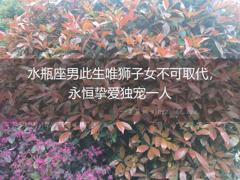 水瓶座男此生唯獅子女不可取代，永恒摯愛獨寵一人