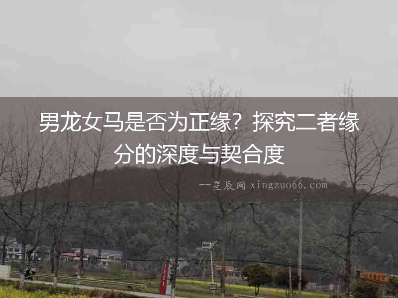 男龍女馬是否為正緣？探究二者緣分的深度與契合度