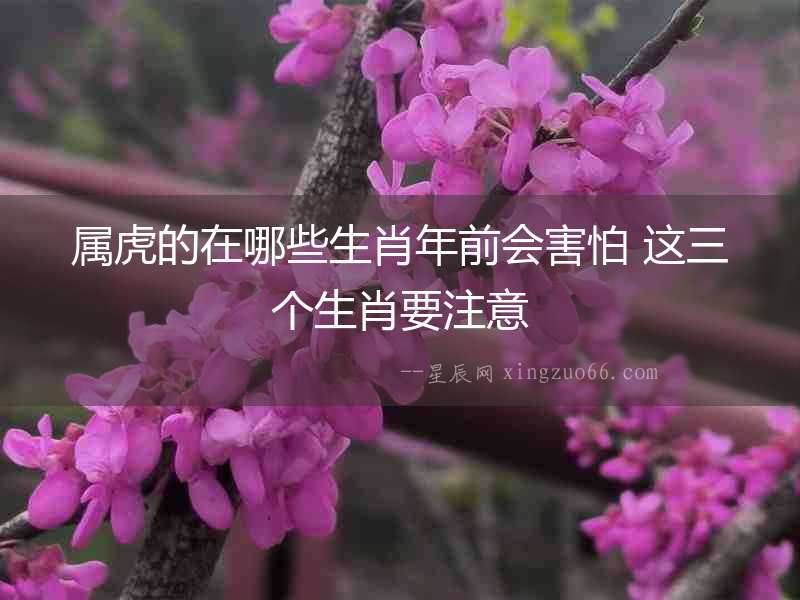屬虎的在哪些生肖年前會(huì)害怕 這三個(gè)生肖要注意