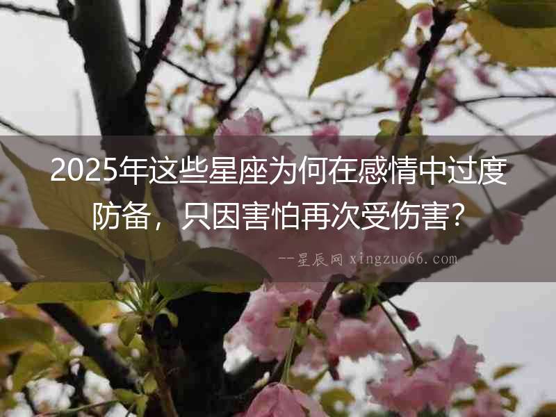 2025年這些星座為何在感情中過度防備，只因害怕再次受傷害？