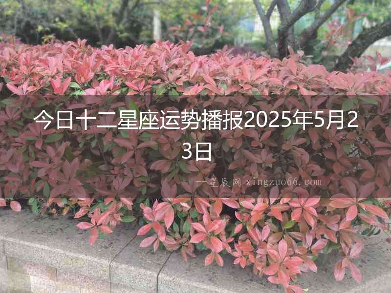 今日十二星座運勢播報2025年5月23日
