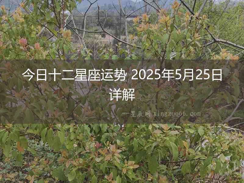 今日十二星座運勢 2025年5月25日詳解