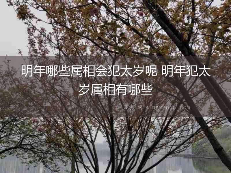 明年哪些屬相會犯太歲呢 明年犯太歲屬相有哪些