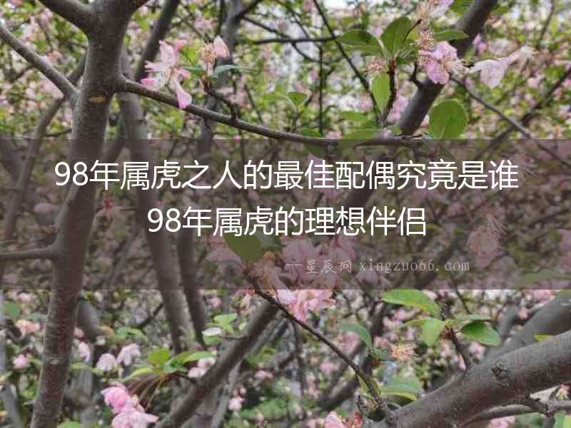 98年屬虎之人的最佳配偶究竟是誰98年屬虎的理想伴侶
