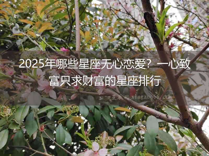 2025年哪些星座無心戀愛？一心致富只求財富的星座排行