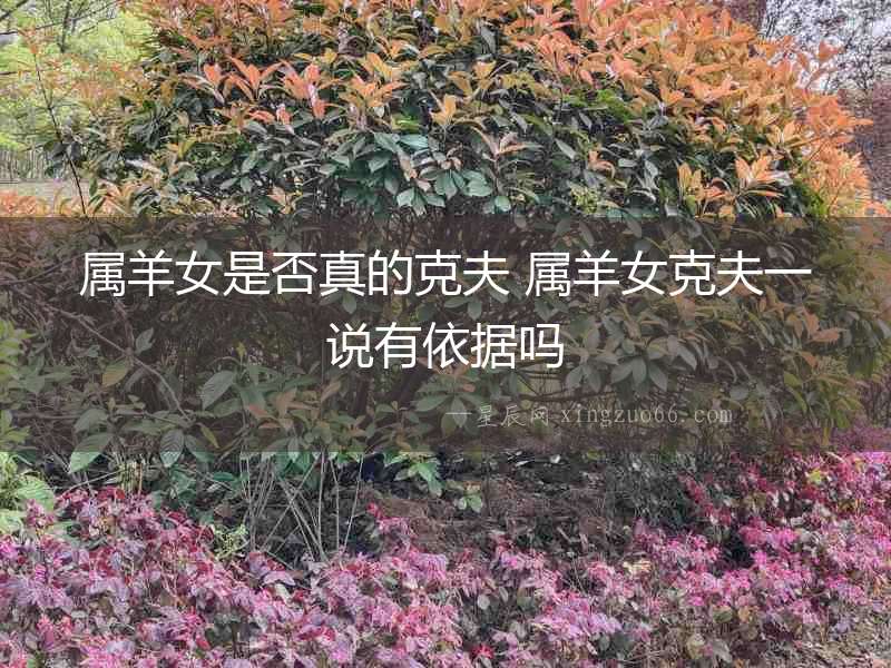 屬羊女是否真的克夫 屬羊女克夫一說有依據嗎