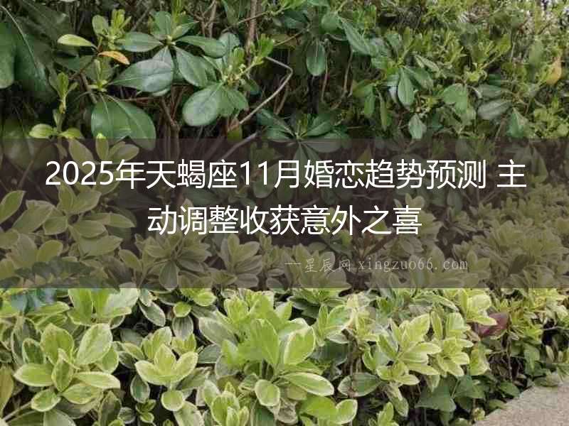 2025年天蝎座11月婚戀趨勢(shì)預(yù)測(cè) 主動(dòng)調(diào)整收獲意外之喜