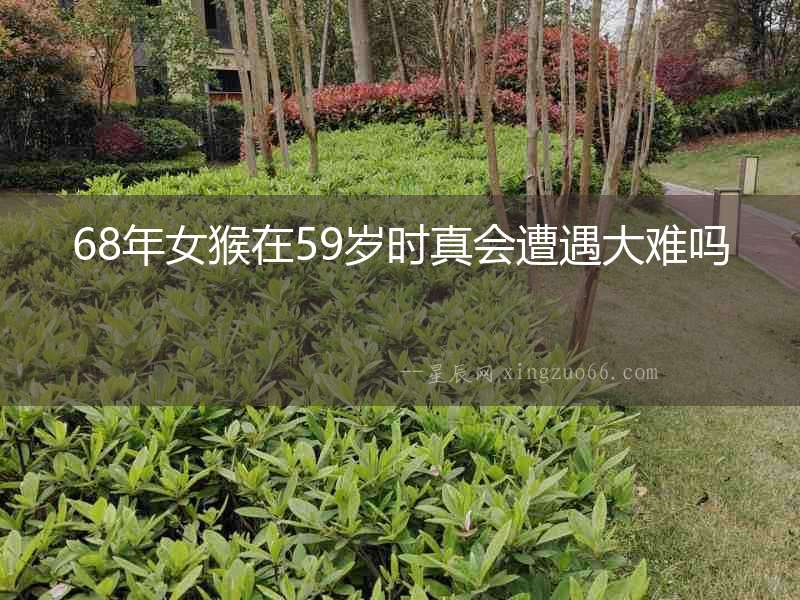 68年女猴在59歲時真會遭遇大難嗎