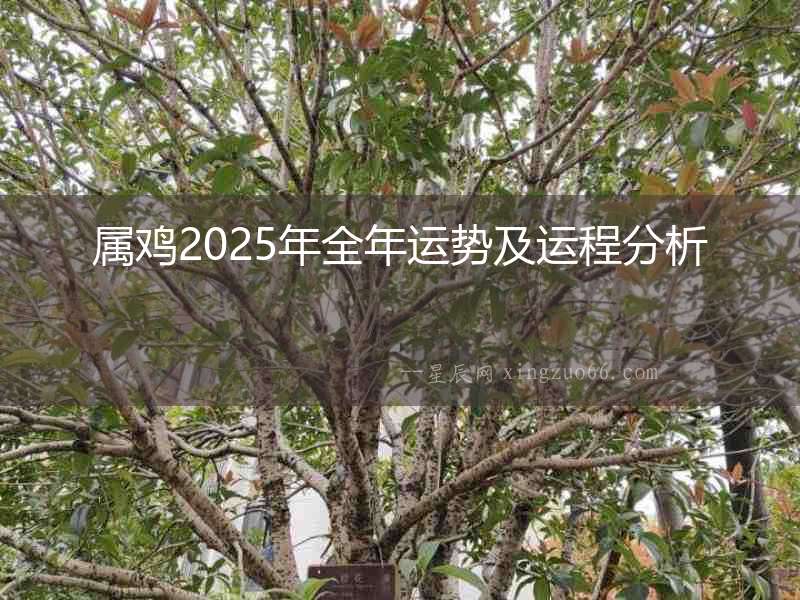 屬雞2025年全年運勢及運程分析