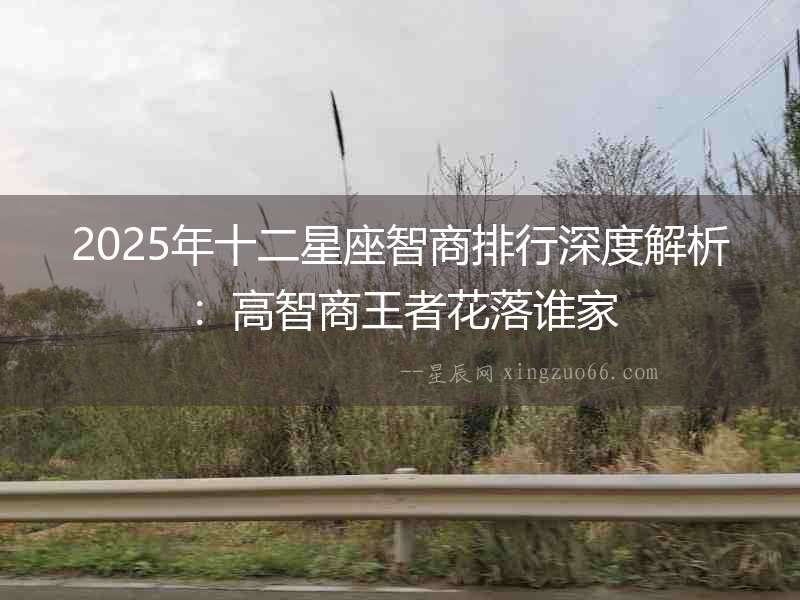 2025年十二星座智商排行深度解析：高智商王者花落誰家
