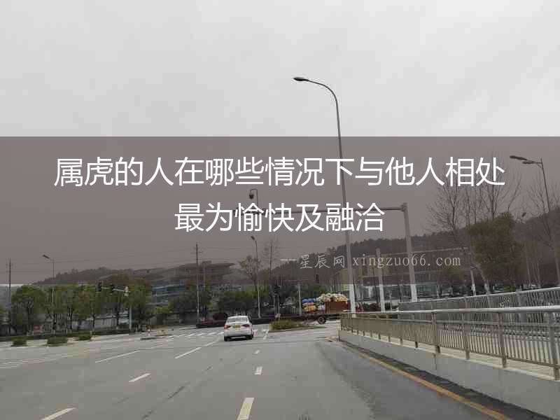 屬虎的人在哪些情況下與他人相處最為愉快及融洽