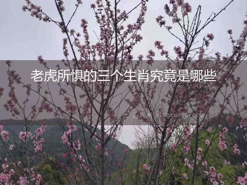 老虎所懼的三個(gè)生肖究竟是哪些