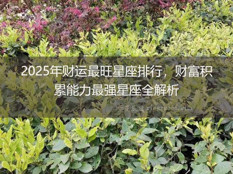 2025年財運最旺星座排行，財富積累能力最強星座全解析