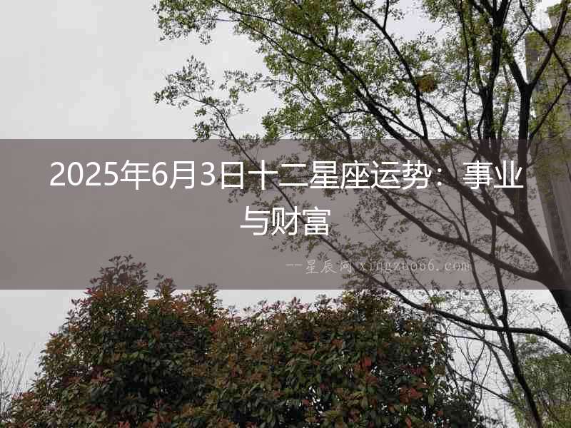 2025年6月3日十二星座運勢：事業與財富