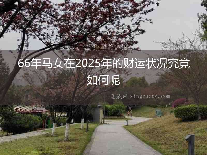 66年馬女在2025年的財運(yùn)狀況究竟如何呢