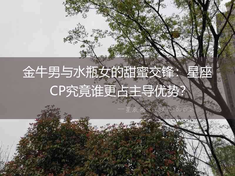 金牛男與水瓶女的甜蜜交鋒：星座CP究竟誰更占主導優勢？