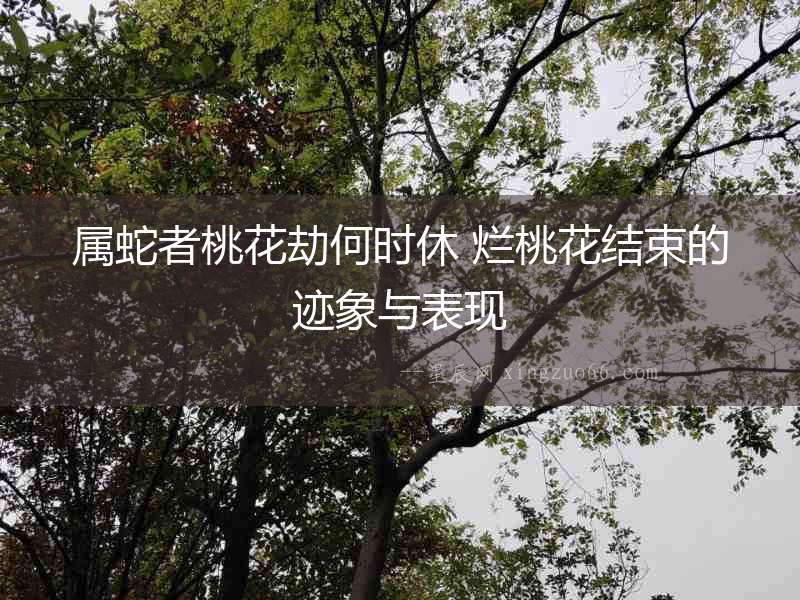 屬蛇者桃花劫何時休 爛桃花結束的跡象與表現
