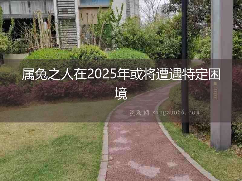 屬兔之人在2025年或將遭遇特定困境