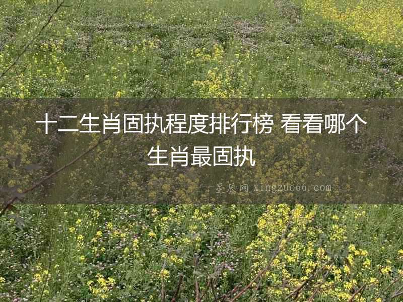 十二生肖固執(zhí)程度排行榜 看看哪個(gè)生肖最固執(zhí)