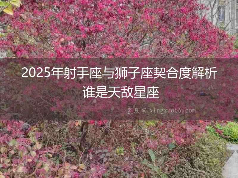 2025年射手座與獅子座契合度解析 誰是天敵星座