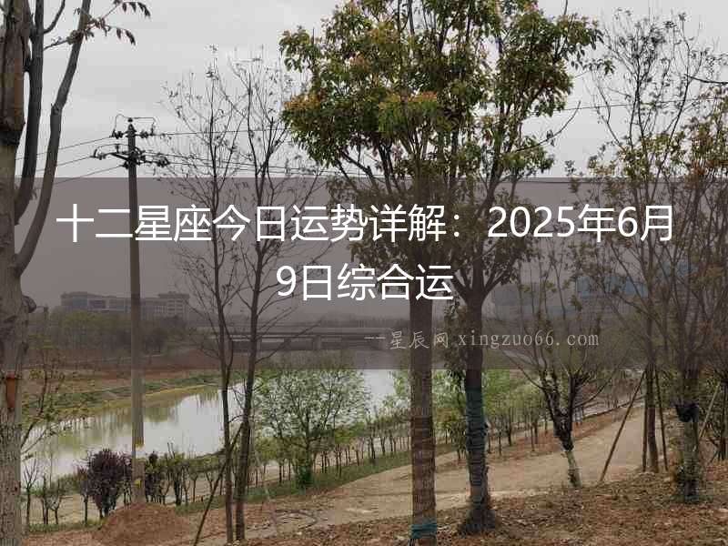 十二星座今日運勢詳解：2025年6月9日綜合運