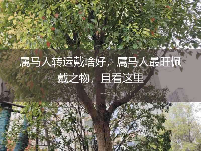 屬馬人轉(zhuǎn)運(yùn)戴啥好，屬馬人最旺佩戴之物，且看這里