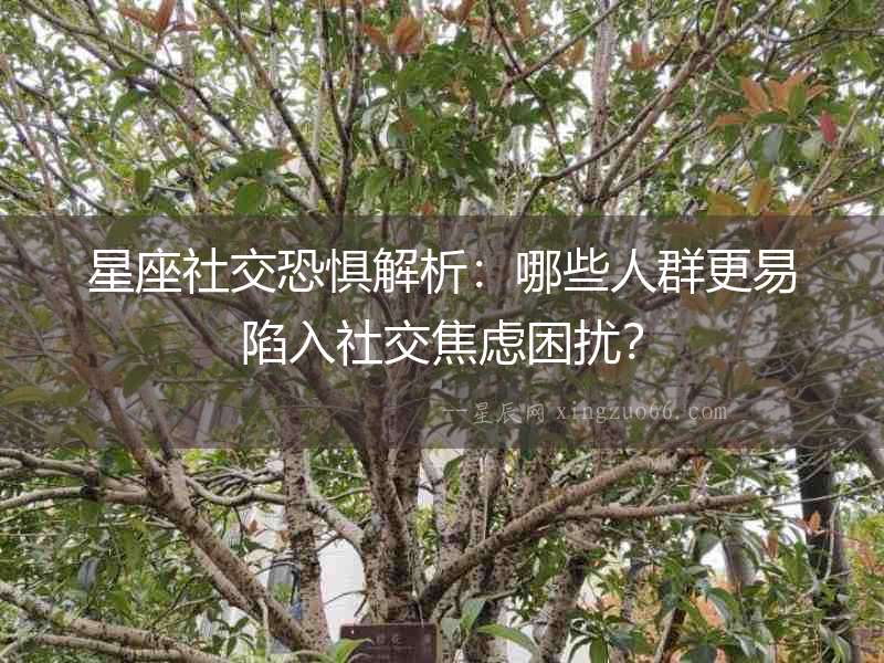 星座社交恐懼解析：哪些人群更易陷入社交焦慮困擾？