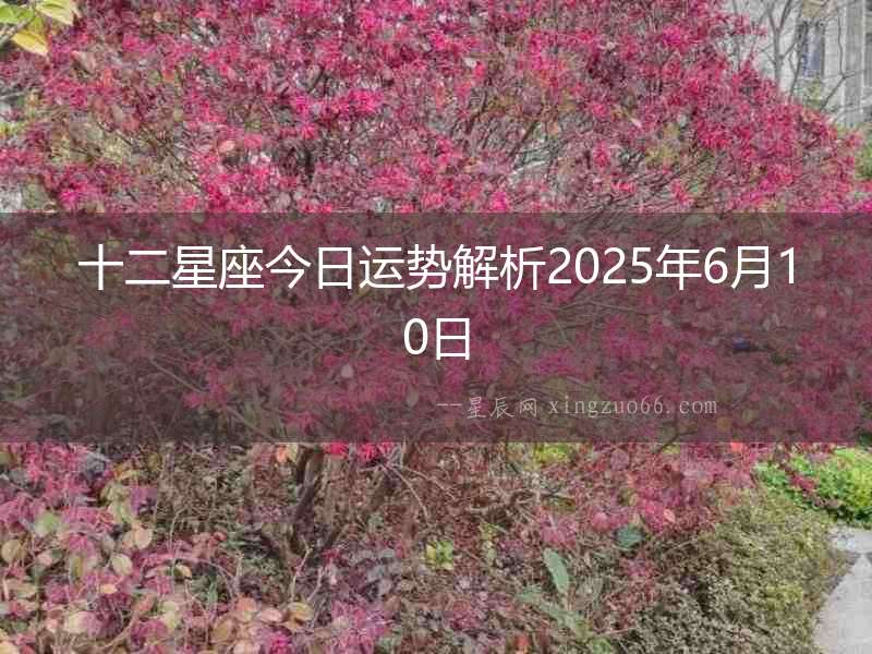 十二星座今日運勢解析2025年6月10日