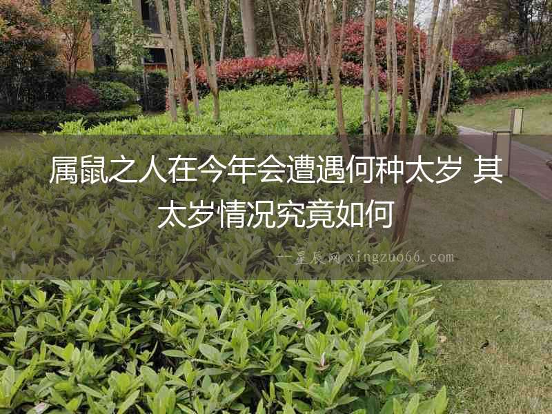 屬鼠之人在今年會遭遇何種太歲 其太歲情況究竟如何