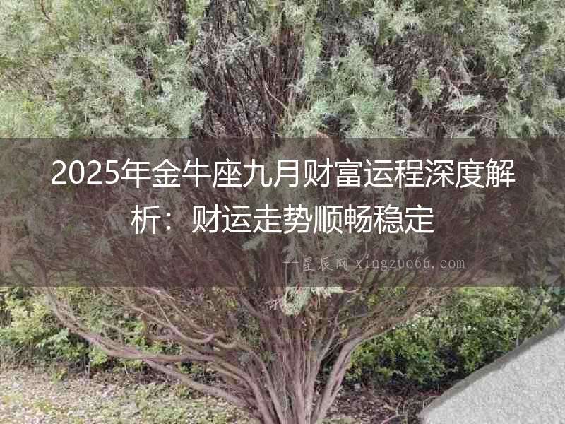 2025年金牛座九月財富運程深度解析：財運走勢順暢穩定