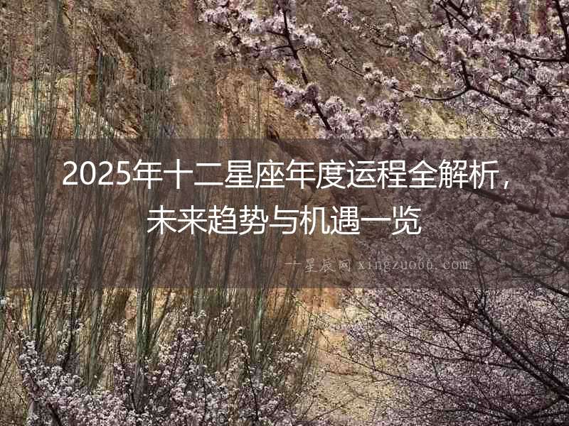 2025年十二星座年度運程全解析，未來趨勢與機遇一覽