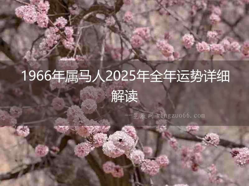 1966年屬馬人2025年全年運(yùn)勢詳細(xì)解讀
