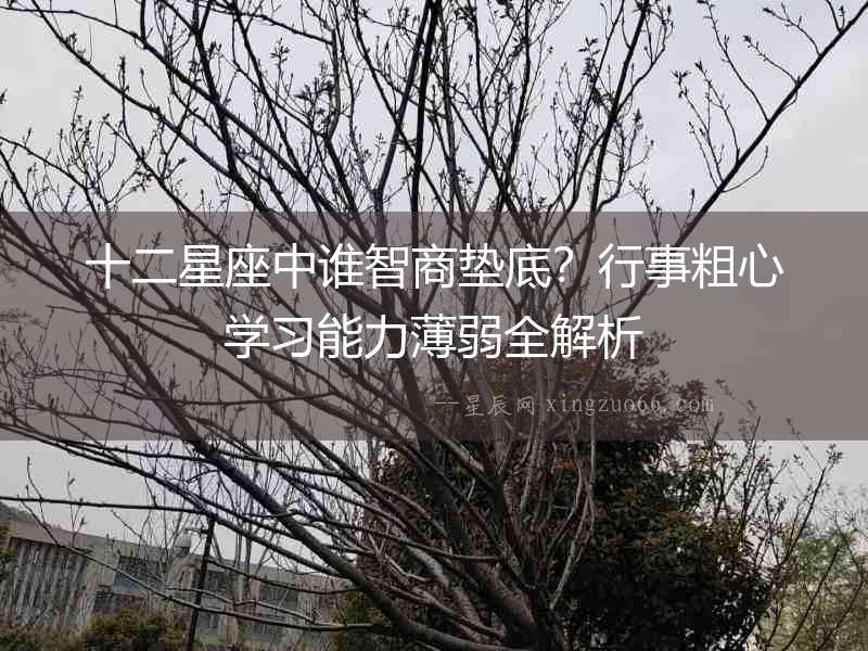 十二星座中誰智商墊底？行事粗心學習能力薄弱全解析