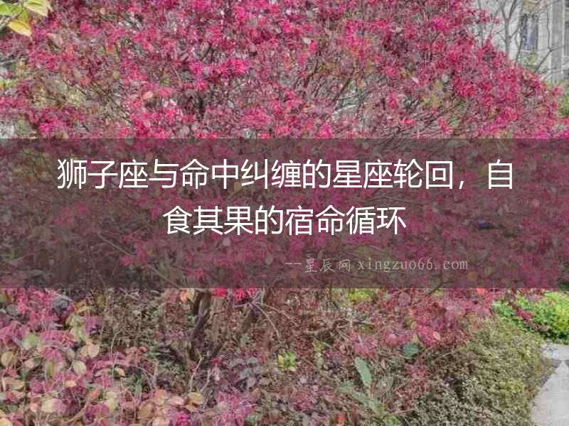 獅子座與命中糾纏的星座輪回，自食其果的宿命循環