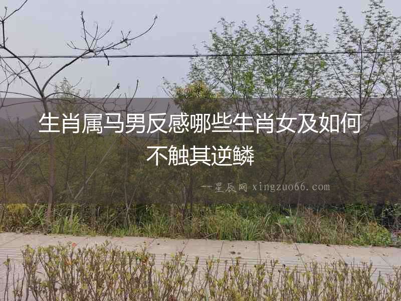 生肖屬馬男反感哪些生肖女及如何不觸其逆鱗