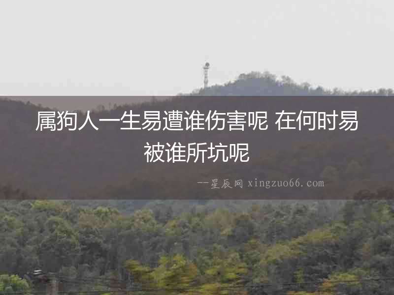 屬狗人一生易遭誰傷害呢 在何時(shí)易被誰所坑呢